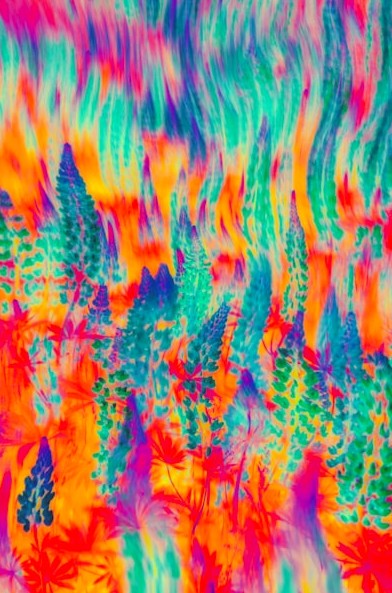 智驾大模型:重塑出行底座的算力与生态之争